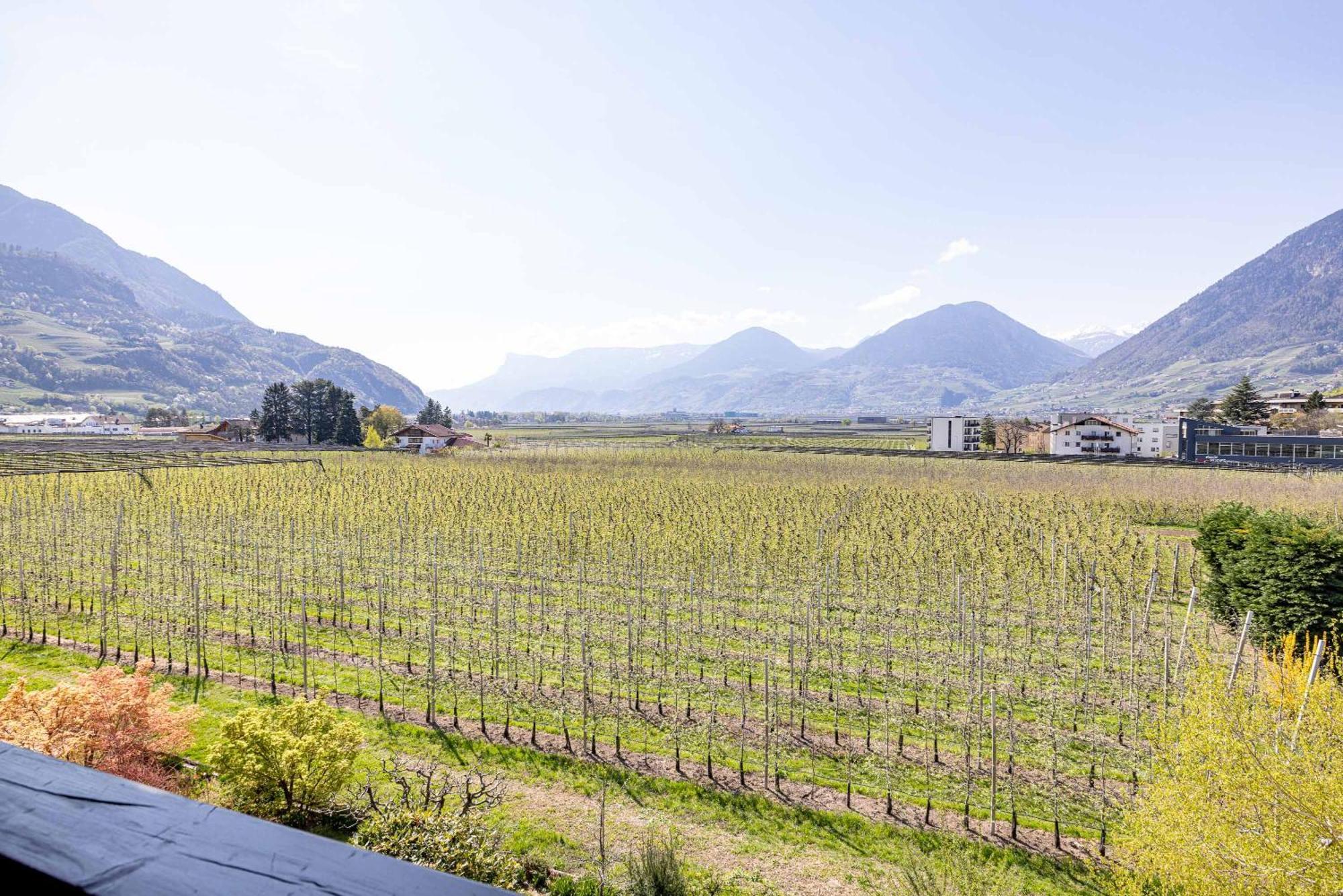 Residence Pollingerhof Merano Eksteriør bilde